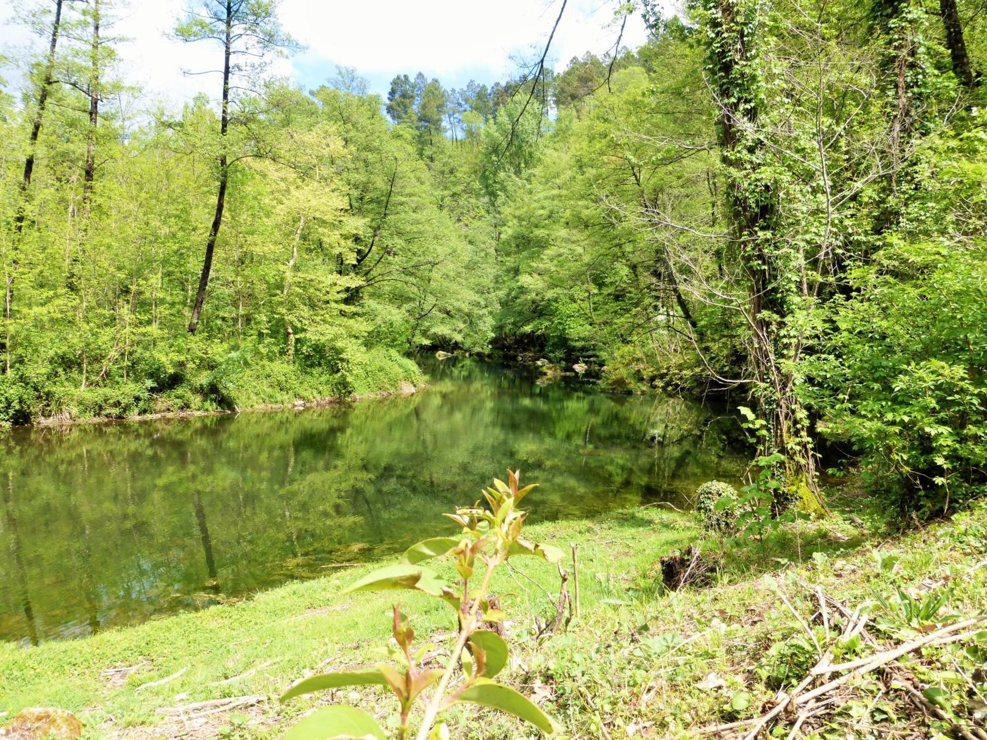 Chateau Du Fraissinet, 6 Gites Sleeping 2-8 Guests, Pool And River On Site La Tronche  Exterior foto