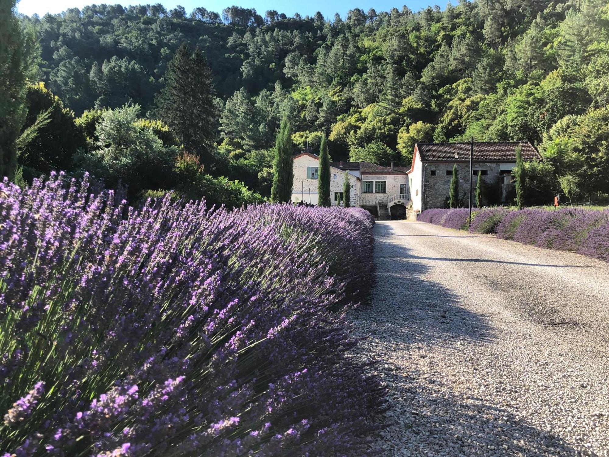Chateau Du Fraissinet, 6 Gites Sleeping 2-8 Guests, Pool And River On Site La Tronche  Exterior foto